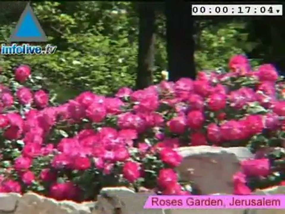 News Update 05.04.07