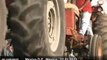 Mexican farmers demand government help amid... - no comment