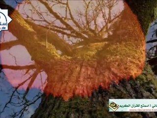 يَا أَبَتِ لا تَعْبُدِ الشَّيْطَانَ