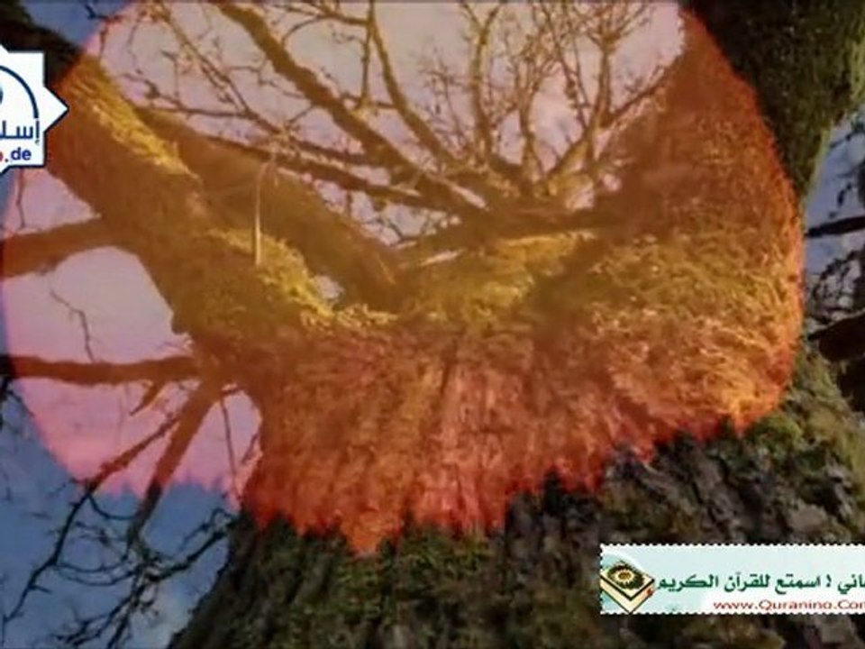 يَا أَبَتِ لا تَعْبُدِ الشَّيْطَانَ