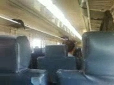 train sncft ala gare de bir bouregba nabeul tunisie