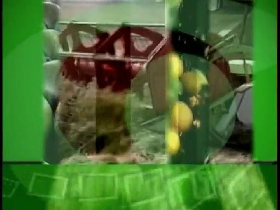 INFORMATIU 24-01-2012