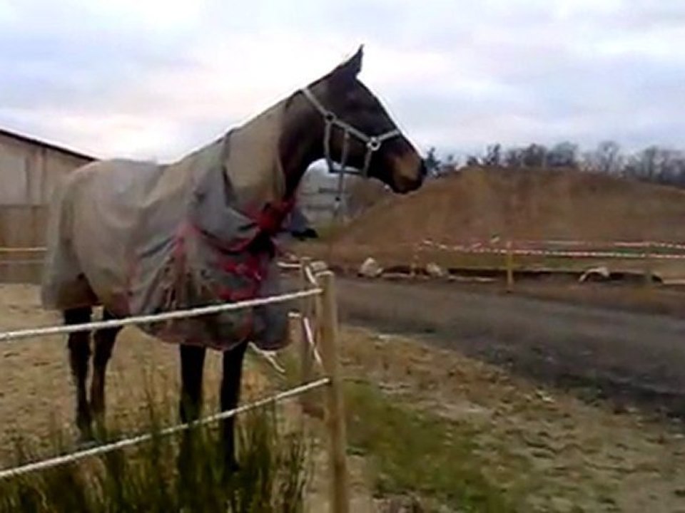 23012012003