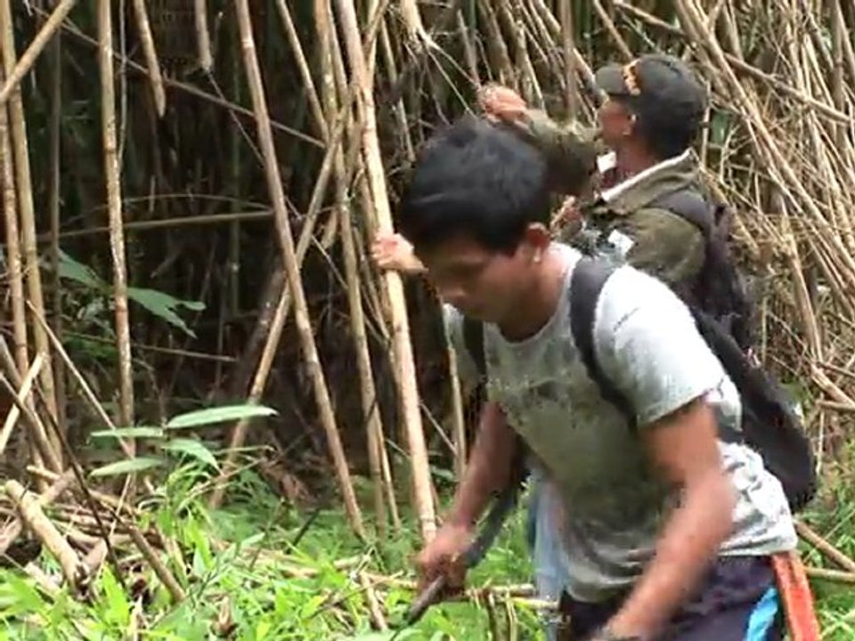 Afrika auf den Philippinen: Safari durch exotische Tierwelt