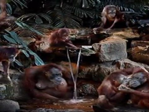 Gün Ağarıken - Efkan Şeşen (Mustafa Dinç)