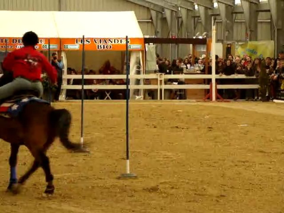 Pole Annaëlle et Spirit