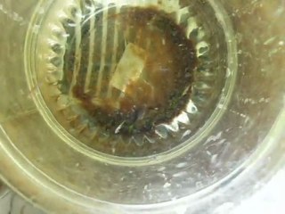 frontosaforum ar-ge bölümü