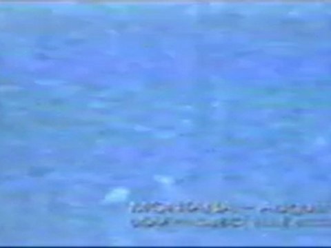 blue book ovni ufo 1950 (1)