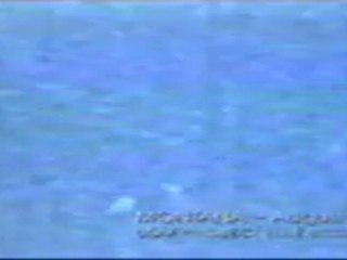 blue book ovni ufo 1950 (1)