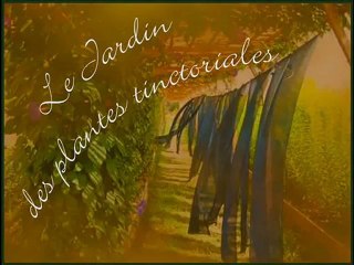 Jardin couleurs tinctoriales de LAURIS 6.2009