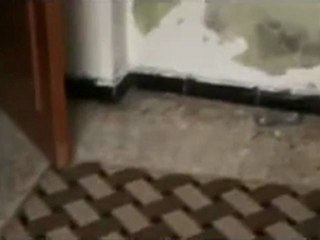 فري برس   حمص باب الدريب قصف على المنازل 9 1 2012