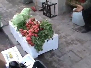 فري برس   حمص كرم الزيتون خضرجي بسيط و قصة الحرمان