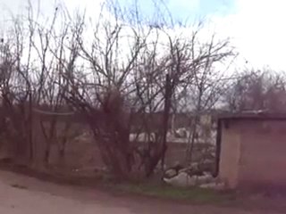 فري برس   زبداني إطلاق رصاص 16 1 2012 ج1