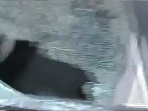 فري برس حماة حي الحميدية اثار الرصاص على البيوت 19 1 2012