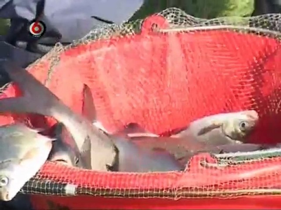 Vienam.gale.kablys.2011.12.25.DSR.XVID-CNN