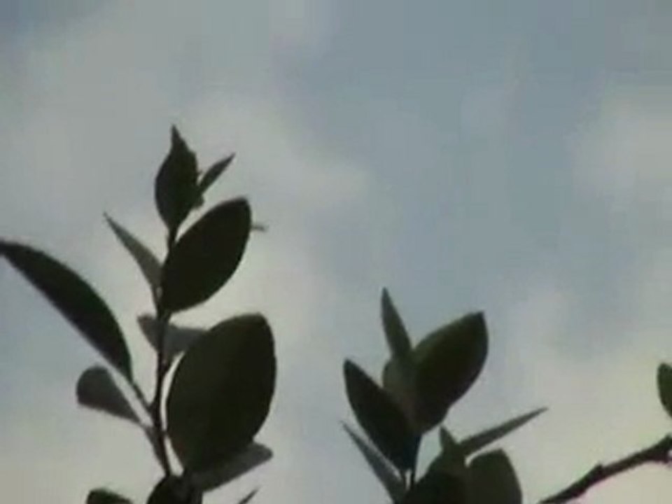 UFO.2012