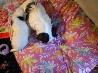 mes petit amours 4 semaine