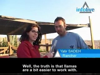 Look Out Dr. Doolittle!