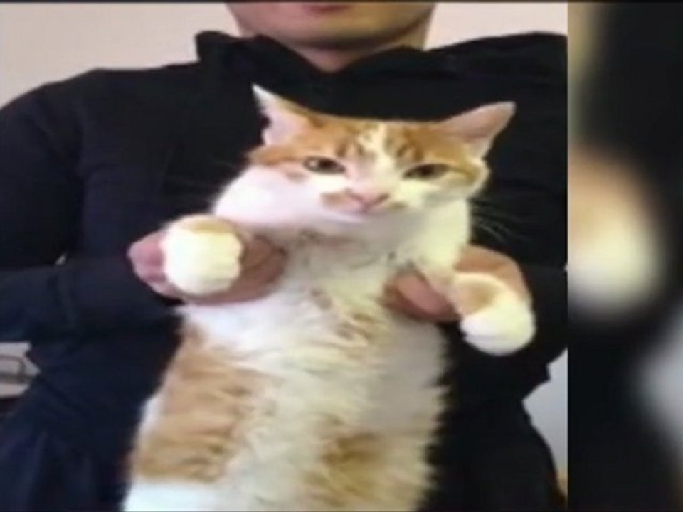 Les internautes s'approprient le clip de campagne de François Hollande