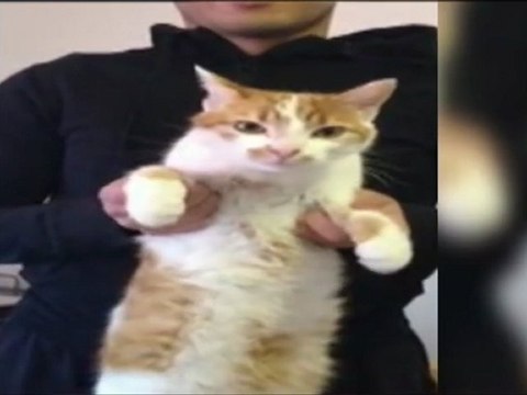 Les internautes s'approprient le clip de campagne de François Hollande