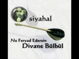 Ne Feryad Edersin Divane Bülbül