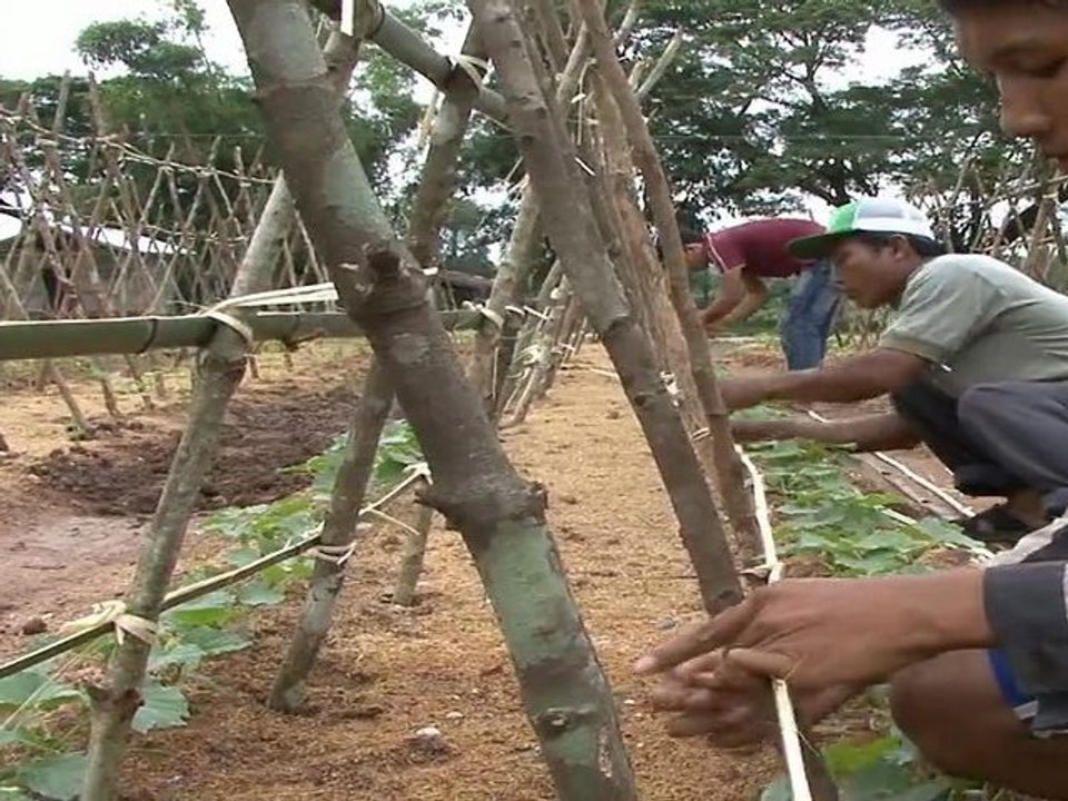 Travail des villageois LAOS Ban Nateuy