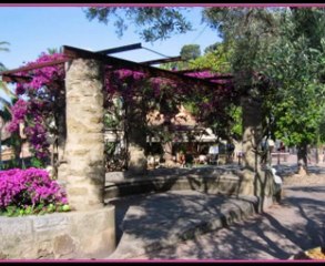 Bormes-les-Mimosas.Vieux Village.