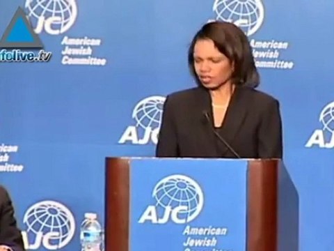 WikiLeaks: Israel destroyed a Syrian nuclear reactor