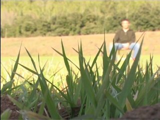 rara avis 9 (l'animal a l'esquena)