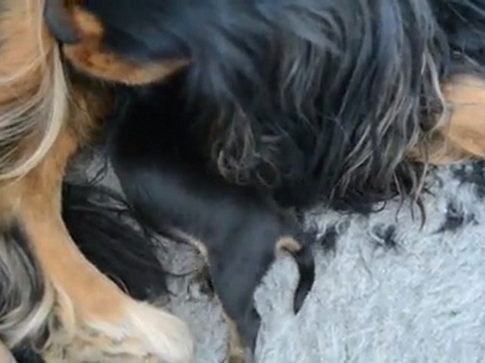 25/01/2012 HOLLY