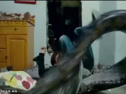 Mal rollo entre Daniel Radcliffe y Rupert Grint