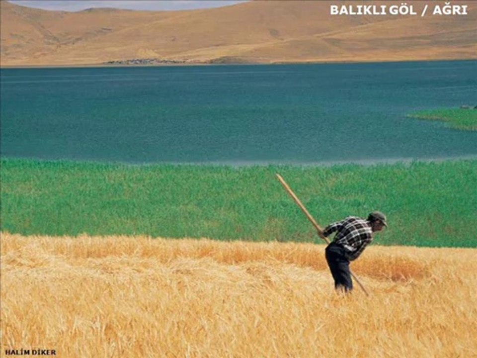 VER ELİME BAHARI-ARİF NAZIM