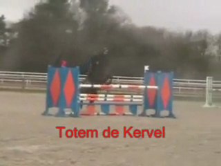 Totem de kervel equipole janv 2012