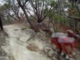 austin mountain biking, mountain bikes, walnut creek austin, gopro