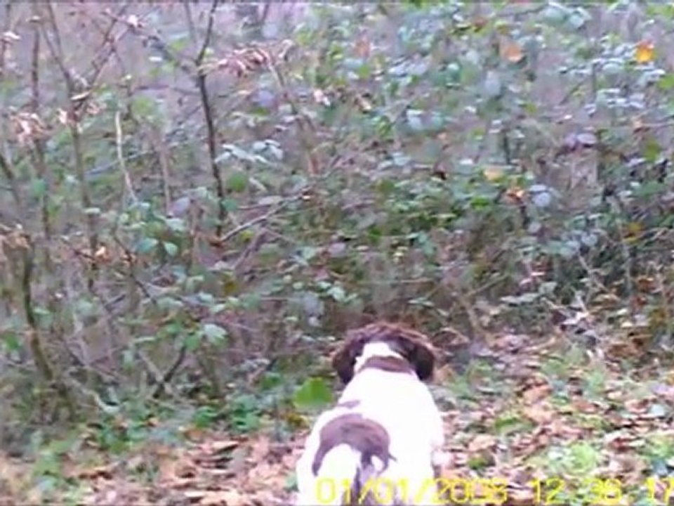 08.01.2012 hanyanı çulluk avı