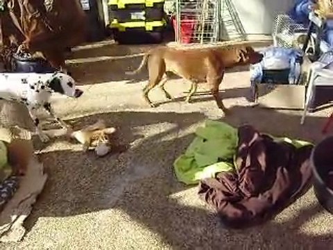 Eros et Gandhi janvier 2011