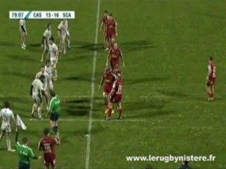 La danse des canards