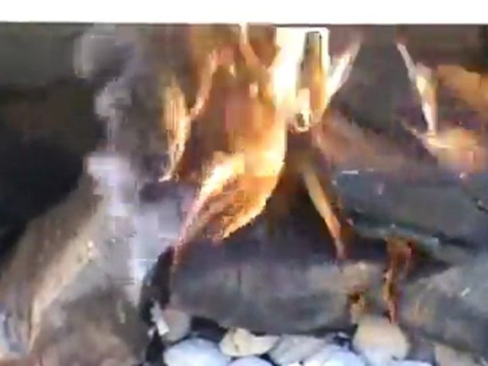 BBQ Fire Video