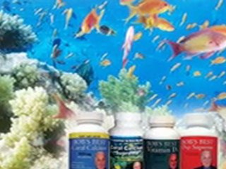 Barefoot on the Beach - Bob Barefoot Live