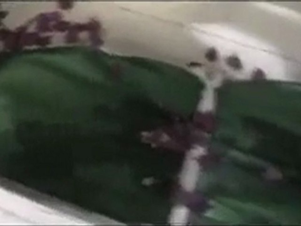 فري برس   الشهيد البطل رامي الدباغ هذا جزاء طلاب الحرية في بلادي هذا بطل من مدينتي كان معي فوضت أمره وأمري لله 27 10 2011