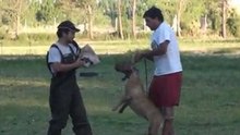 fuga y lanzado P Aleman, Seminario figurantes, Favio Pinto. Alumno Tito Herrera
