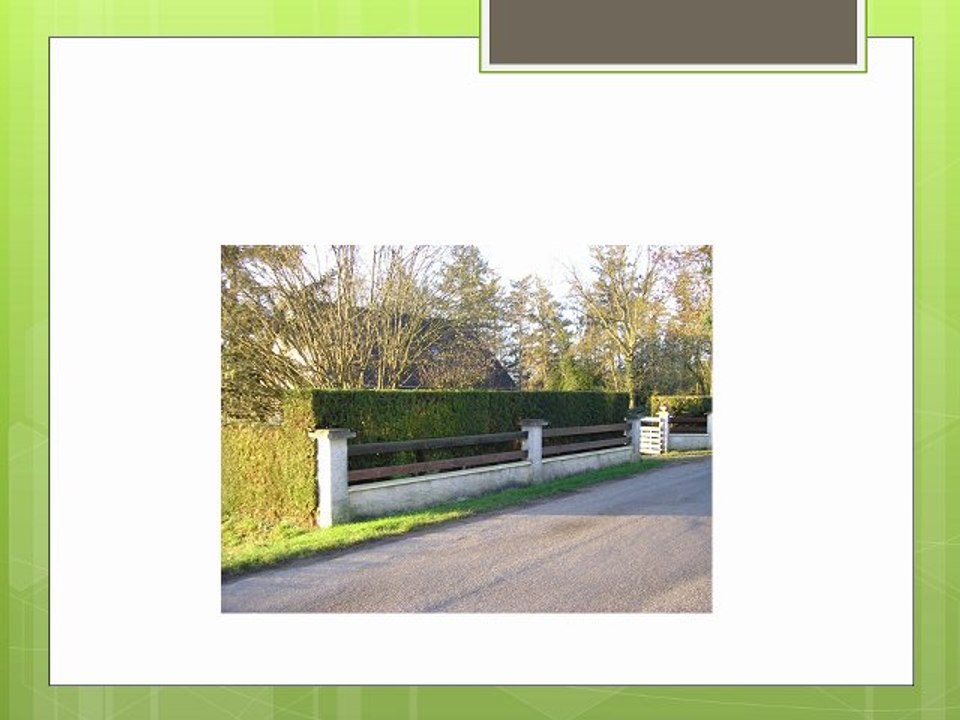 Taille d’une haie de thuya par un jardinier paysagiste eure yvelines à Monfort-l'Amaury