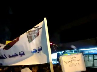 فري برس   عربين  مظاهرة مسائية تأييدا  لقرار جامعةعربية 12 11 2011 ج1