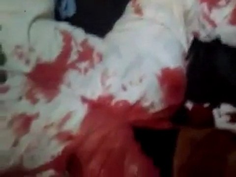 فري برس الحولة الشهيد أحمد محمد الحسين الذي قتله قناصة عصابات الاسد بطلقة في رأسه 14 11 2011