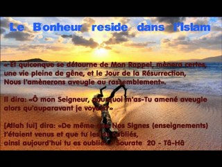 Le Sens du Bonheur et du Bien-être en Islam {kamel abou abderrahman}