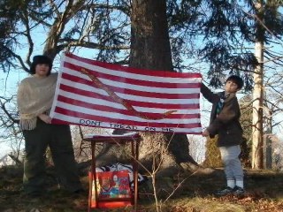 Early American Flags, Gadsden, Culpeper, Don't Tread on Me, historic.