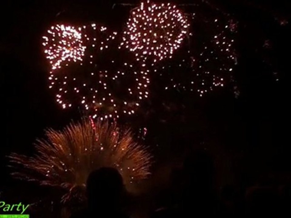Feu d’artifice, séquence Tableau Or (2) PYRO PARTY 2011