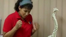 Dr Shara Downey on Baby Colic | Asia Chiropractic, Singapore
