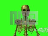 CG動画素材『骸骨アニメーション』/ Royalty-Free Skeleton Animation MotionElements.com