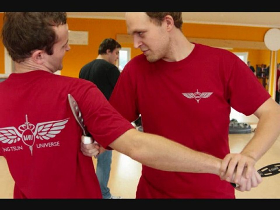 Wing Tsun Universe (WTU) Guild Seminar 08.12.2011